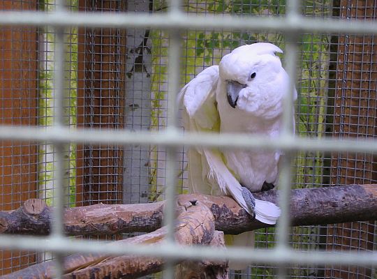 Gr I Wycieczka do Tuchlina