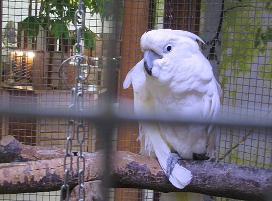 Gr I Wycieczka do Tuchlina