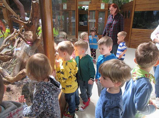 Gr I Wycieczka do Tuchlina