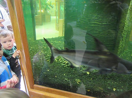 Gr I Wycieczka do Tuchlina