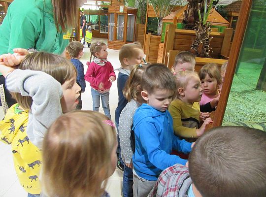 Gr I Wycieczka do Tuchlina