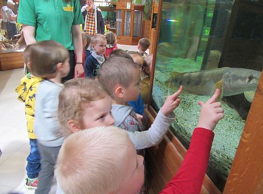 Gr I Wycieczka do Tuchlina