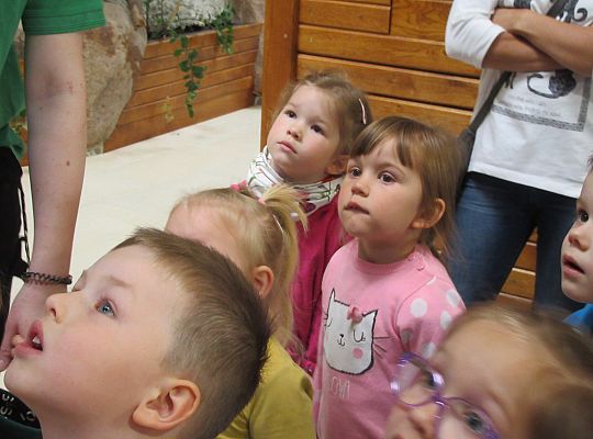 Gr I Wycieczka do Tuchlina