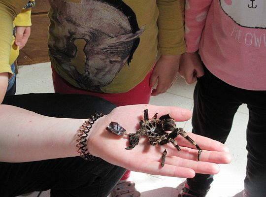 Gr I Wycieczka do Tuchlina