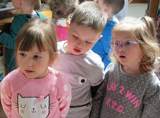 Gr I Wycieczka do Tuchlina