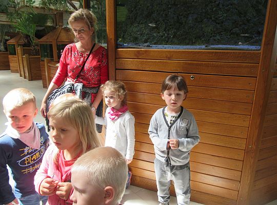 Gr I Wycieczka do Tuchlina