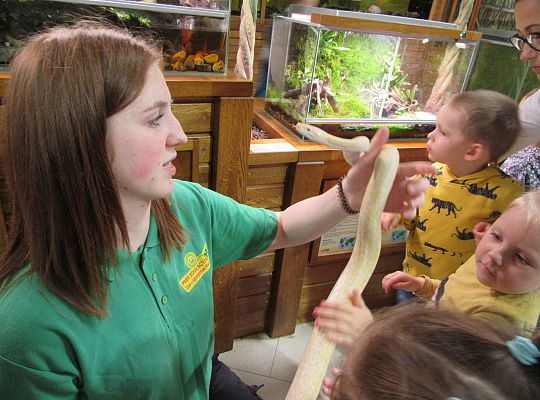 Gr I Wycieczka do Tuchlina