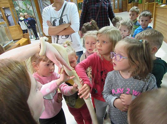 Gr I Wycieczka do Tuchlina