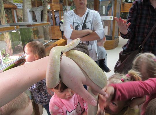 Gr I Wycieczka do Tuchlina