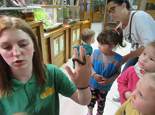 Gr I Wycieczka do Tuchlina