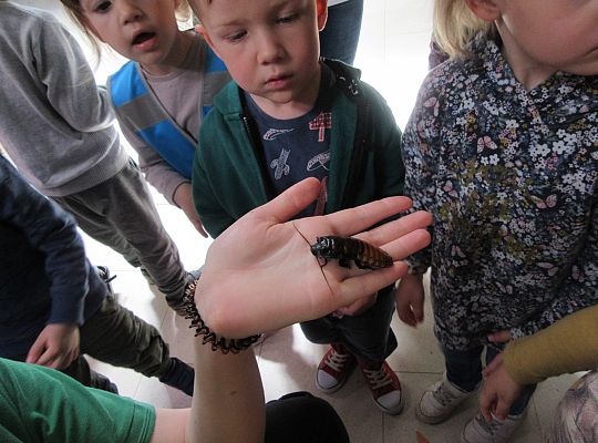 Gr I Wycieczka do Tuchlina