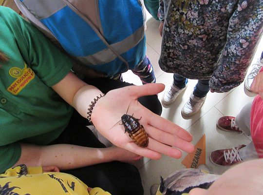 Gr I Wycieczka do Tuchlina