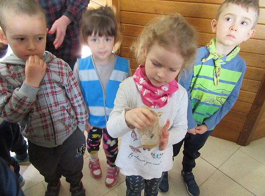 Gr I Wycieczka do Tuchlina