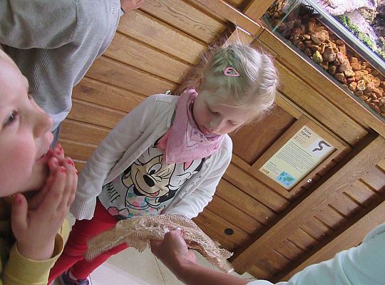 Gr I Wycieczka do Tuchlina