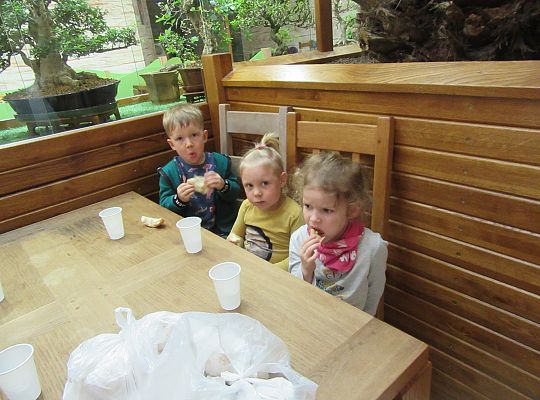 Gr I Wycieczka do Tuchlina