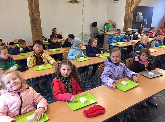 Gr IV Wycieczka do Parku Ewolucji