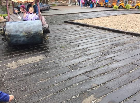 Gr IV Wycieczka do Parku Ewolucji