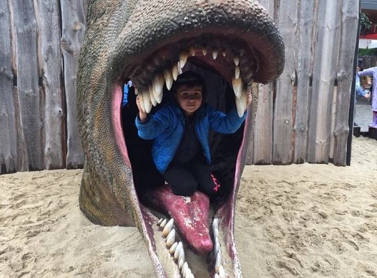 Gr IV Wycieczka do Parku Ewolucji