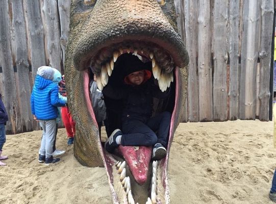 Gr IV Wycieczka do Parku Ewolucji