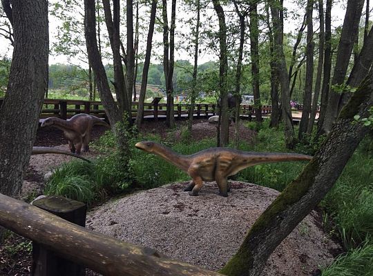 Gr IV Wycieczka do Parku Ewolucji