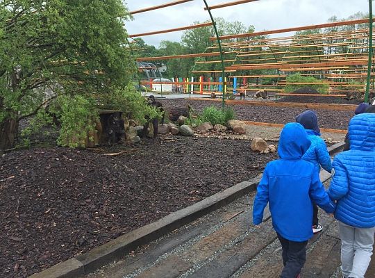 Gr IV Wycieczka do Parku Ewolucji