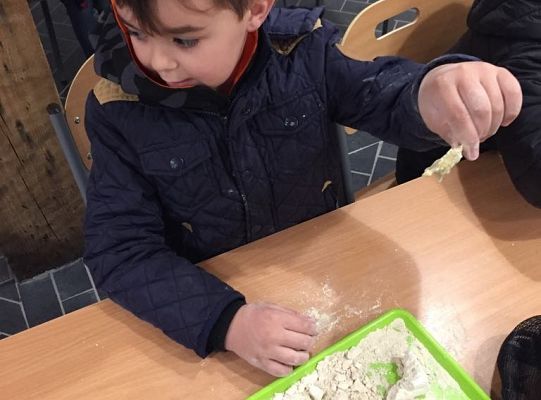 Gr IV Wycieczka do Parku Ewolucji