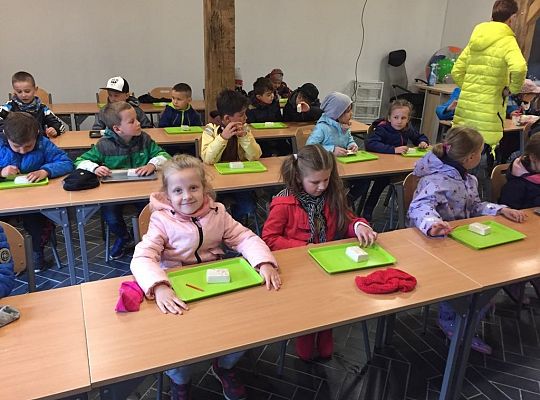 Gr IV Wycieczka do Parku Ewolucji