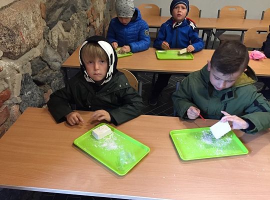 Gr IV Wycieczka do Parku Ewolucji