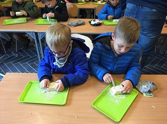 Gr IV Wycieczka do Parku Ewolucji