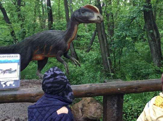 Gr IV Wycieczka do Parku Ewolucji