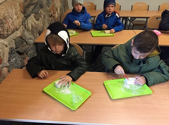 Gr IV Wycieczka do Parku Ewolucji