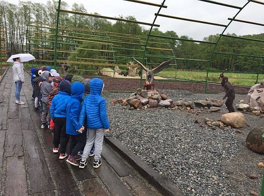 Gr IV Wycieczka do Parku Ewolucji