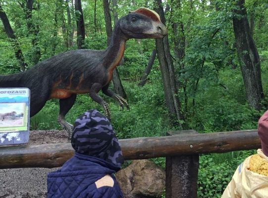 Gr IV Wycieczka do Parku Ewolucji