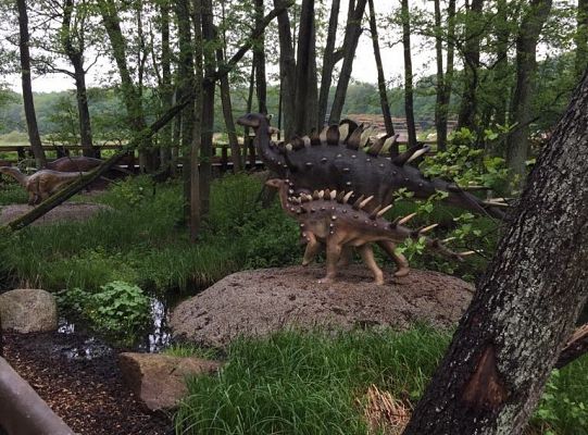 Gr IV Wycieczka do Parku Ewolucji