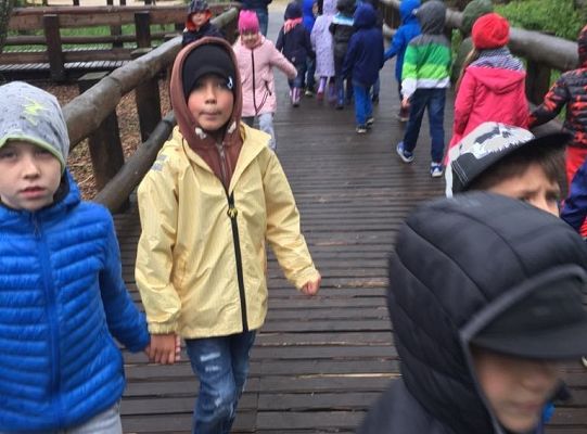 Gr IV Wycieczka do Parku Ewolucji