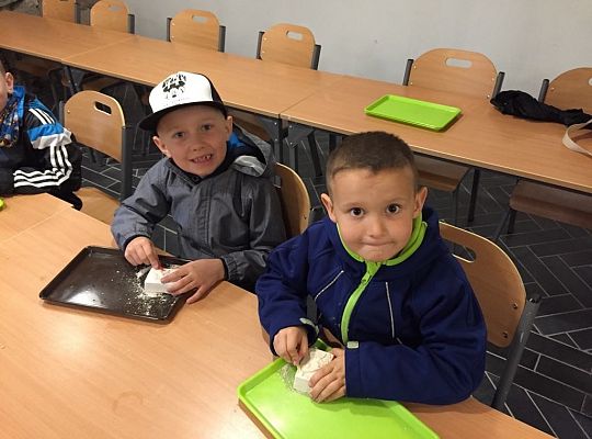 Gr IV Wycieczka do Parku Ewolucji