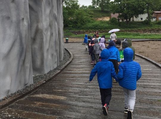 Gr IV Wycieczka do Parku Ewolucji