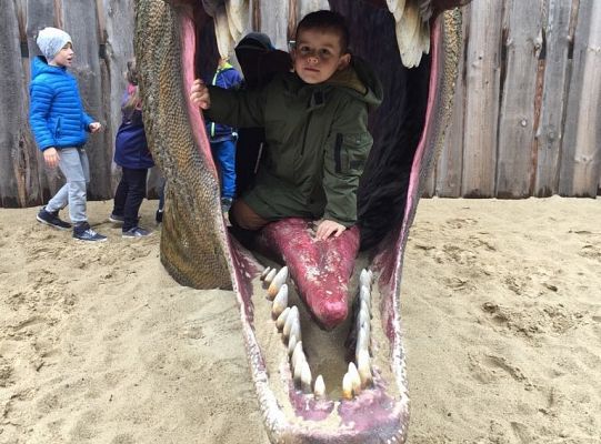 Gr IV Wycieczka do Parku Ewolucji