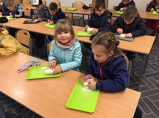 Gr IV Wycieczka do Parku Ewolucji