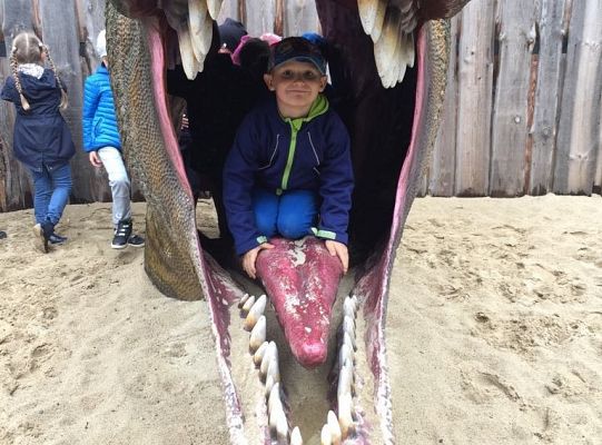 Gr IV Wycieczka do Parku Ewolucji