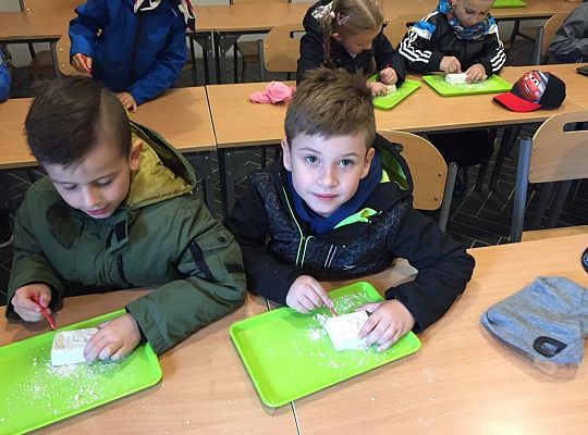 Gr IV Wycieczka do Parku Ewolucji