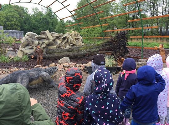 Gr IV Wycieczka do Parku Ewolucji