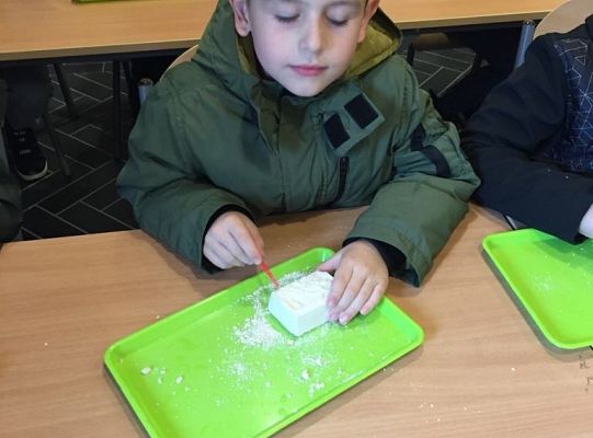 Gr IV Wycieczka do Parku Ewolucji