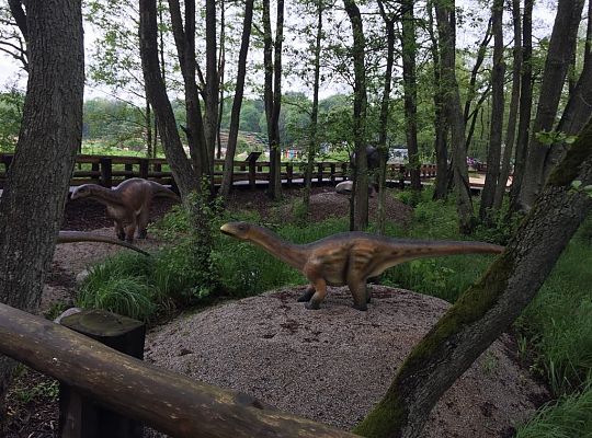 Gr IV Wycieczka do Parku Ewolucji