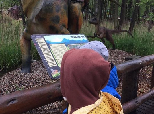 Gr IV Wycieczka do Parku Ewolucji