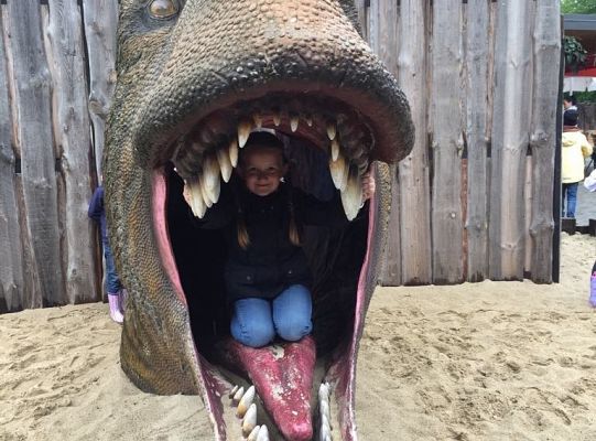 Gr IV Wycieczka do Parku Ewolucji