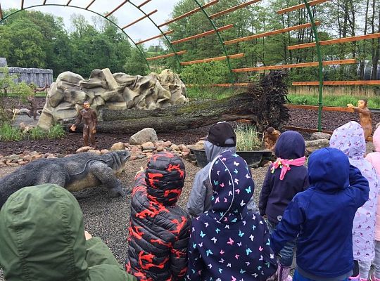 Gr IV Wycieczka do Parku Ewolucji