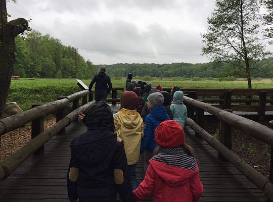 Gr IV Wycieczka do Parku Ewolucji
