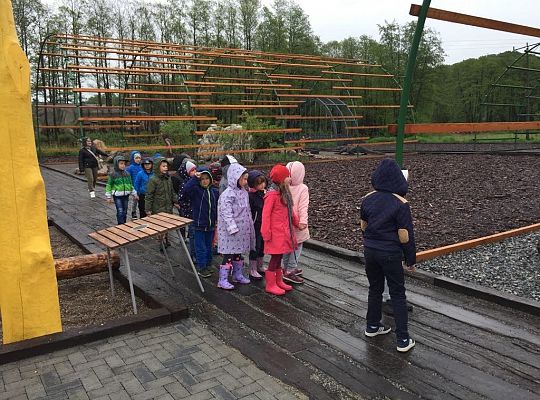 Gr IV Wycieczka do Parku Ewolucji