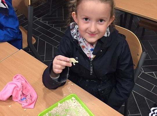 Gr IV Wycieczka do Parku Ewolucji